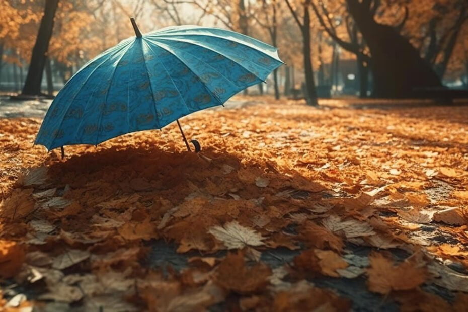 beautiful-autumn