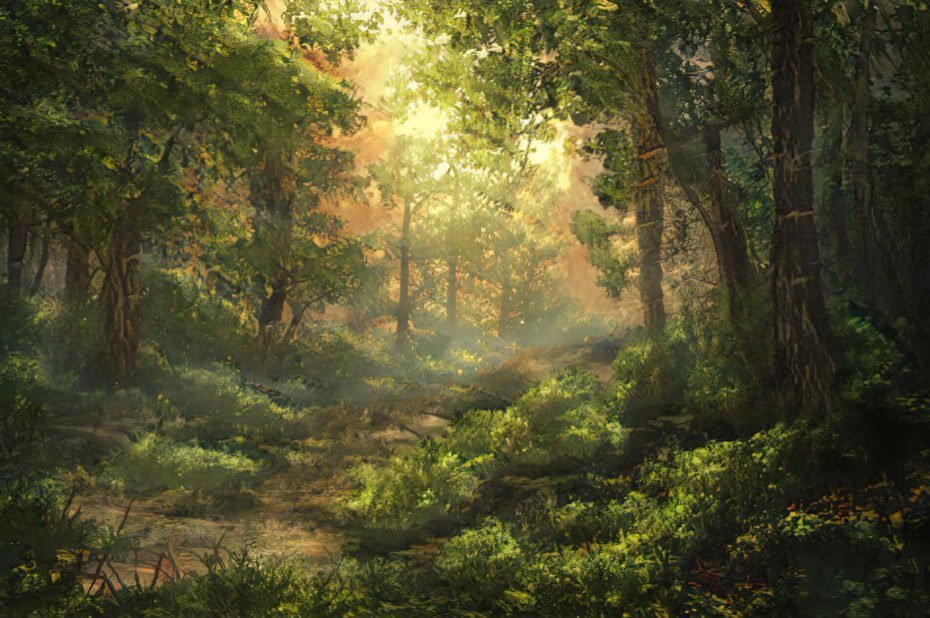 beautiful-magical-forest