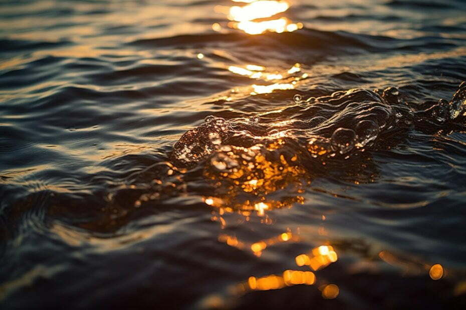 close-up-sea-surface-with-sun