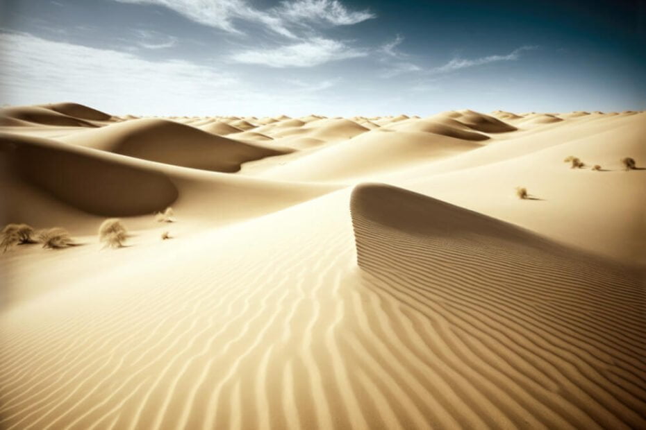 desert-scene