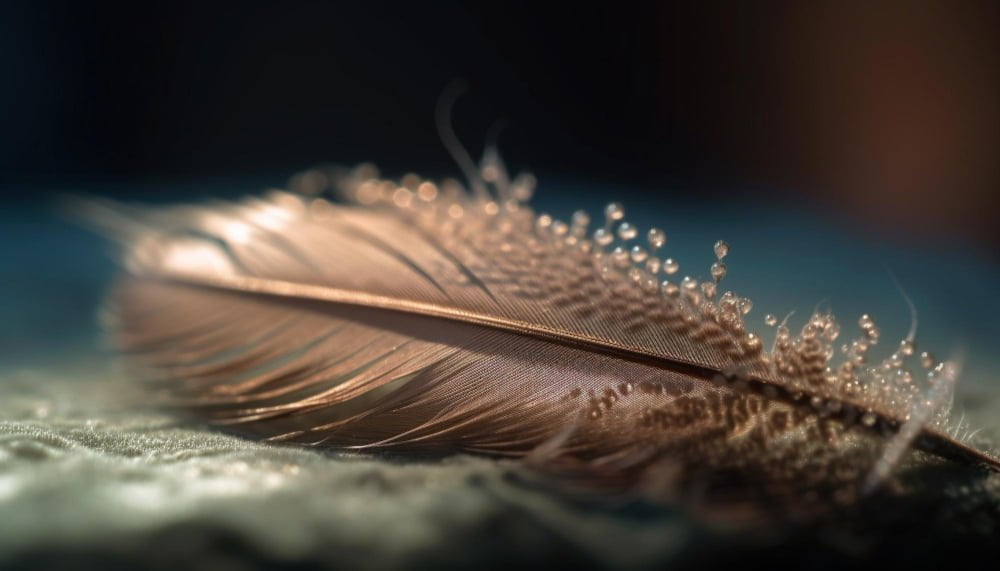 feather-with-tiny