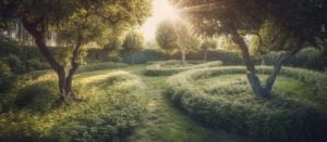 garden-sunlight-landscaping