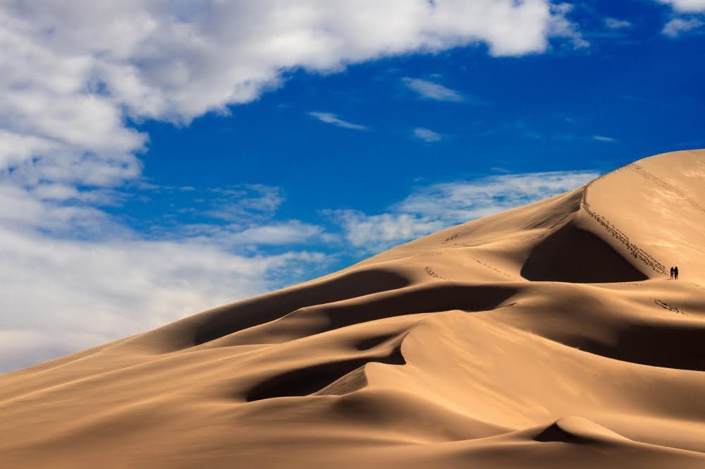 golden-sand-dune-7