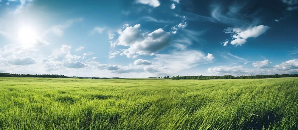 natural-scenic-panorama-green-field