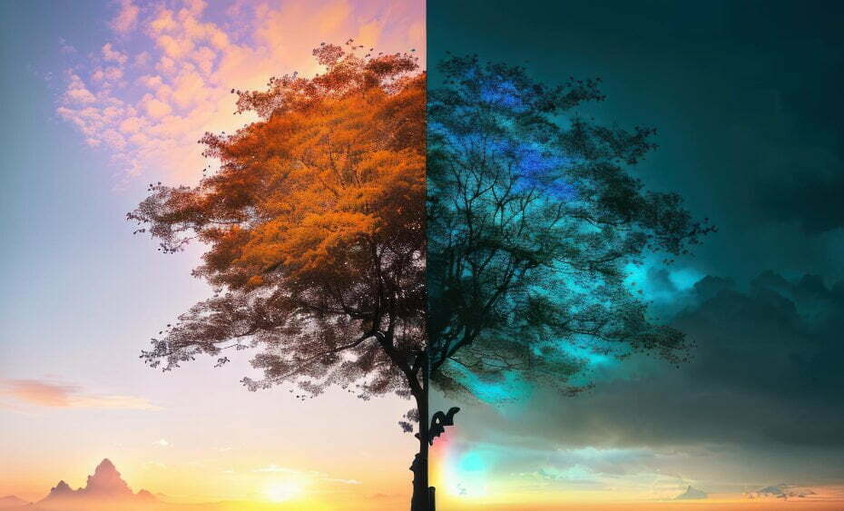 tree-with-sun