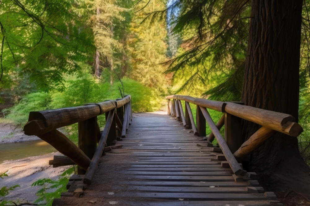 wooden-bridge