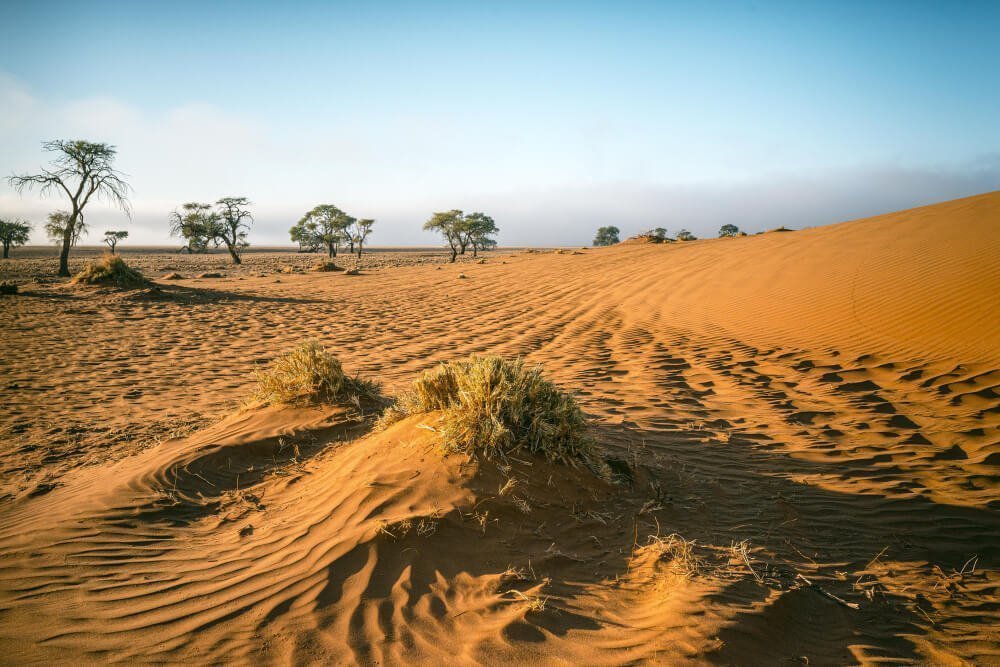 beautiful-shot-namib