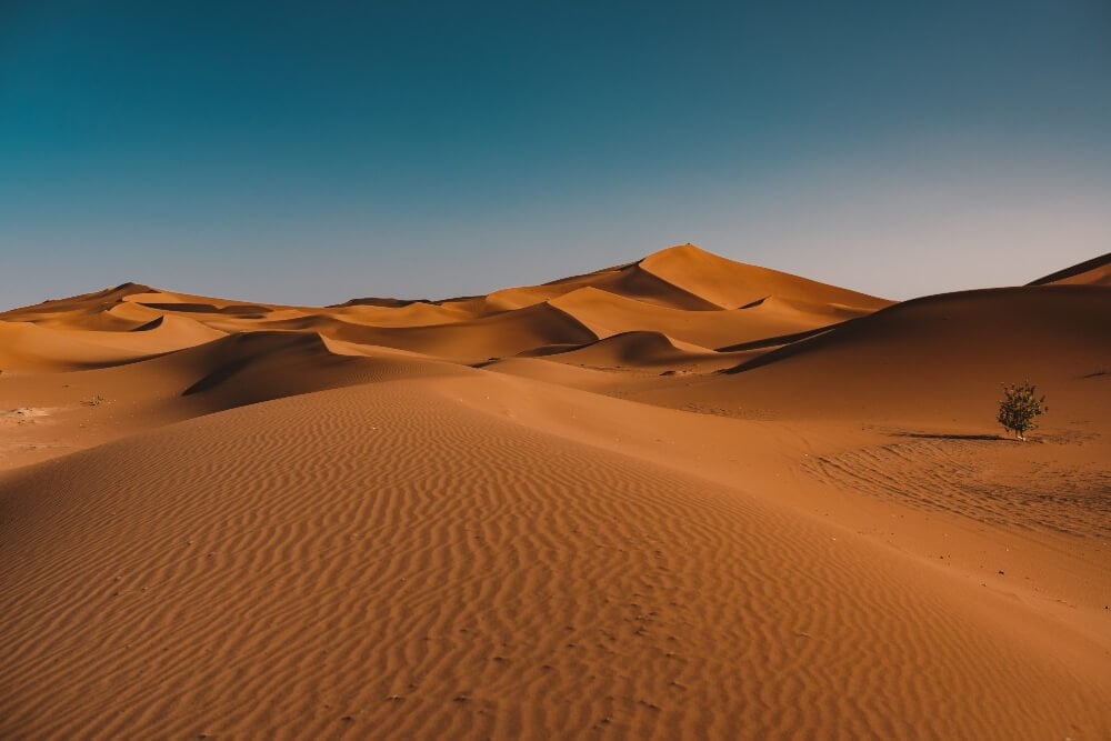 beautiful-view-tranquil-desert