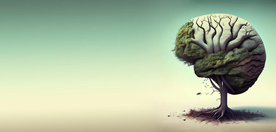 human-brain-tree-self-care