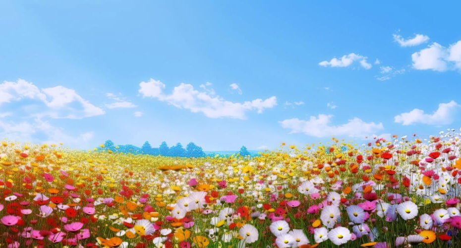 panorama-meadows-fields-with-flowers-summer-sky-generative-ai-illustration