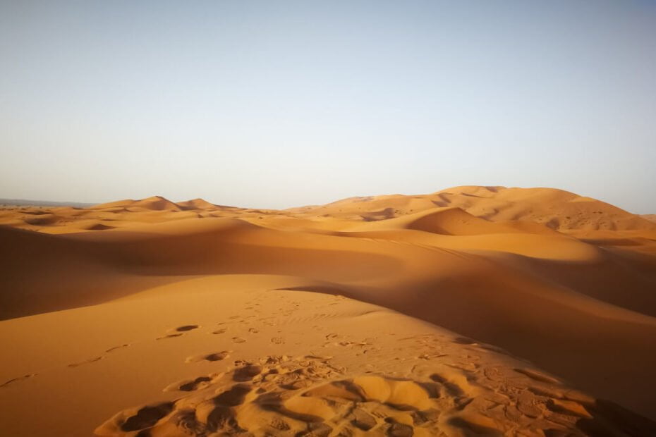 sahara-desert-sunlight-