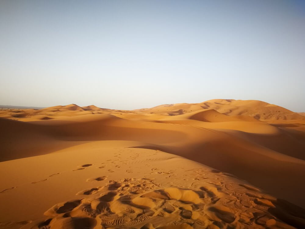 sahara-desert-sunlight-