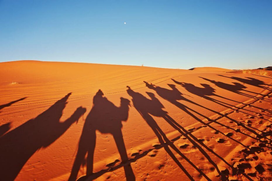 shadows-camels-sahara-desert