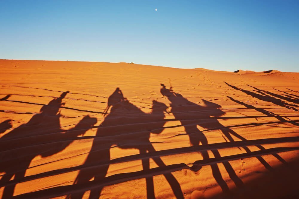 shadows-camels-sahara-desert