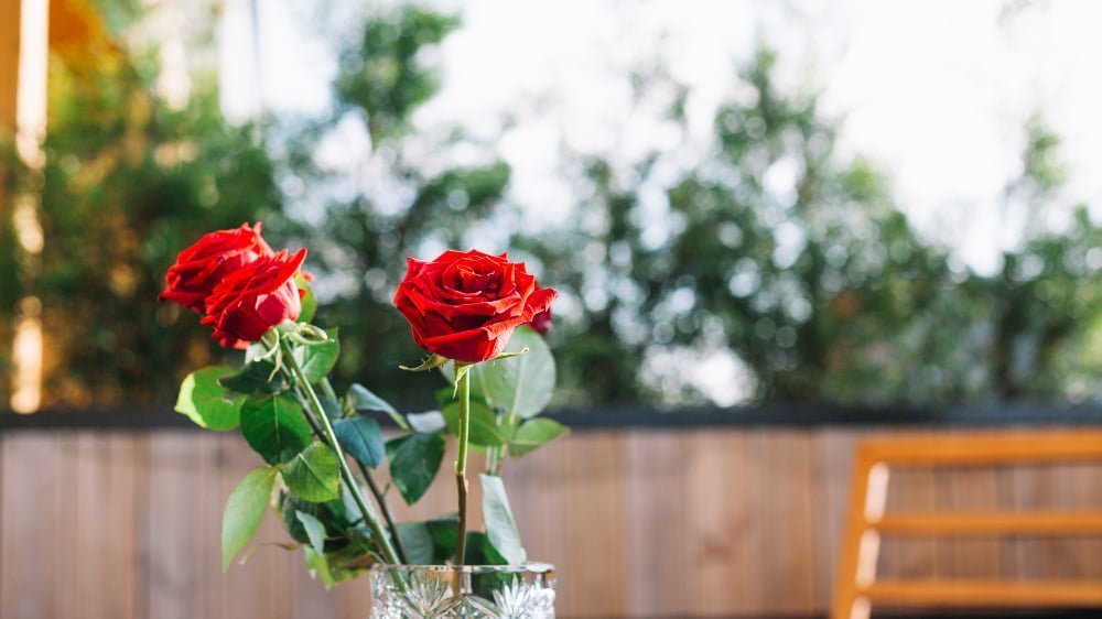 three-red-roses-glass