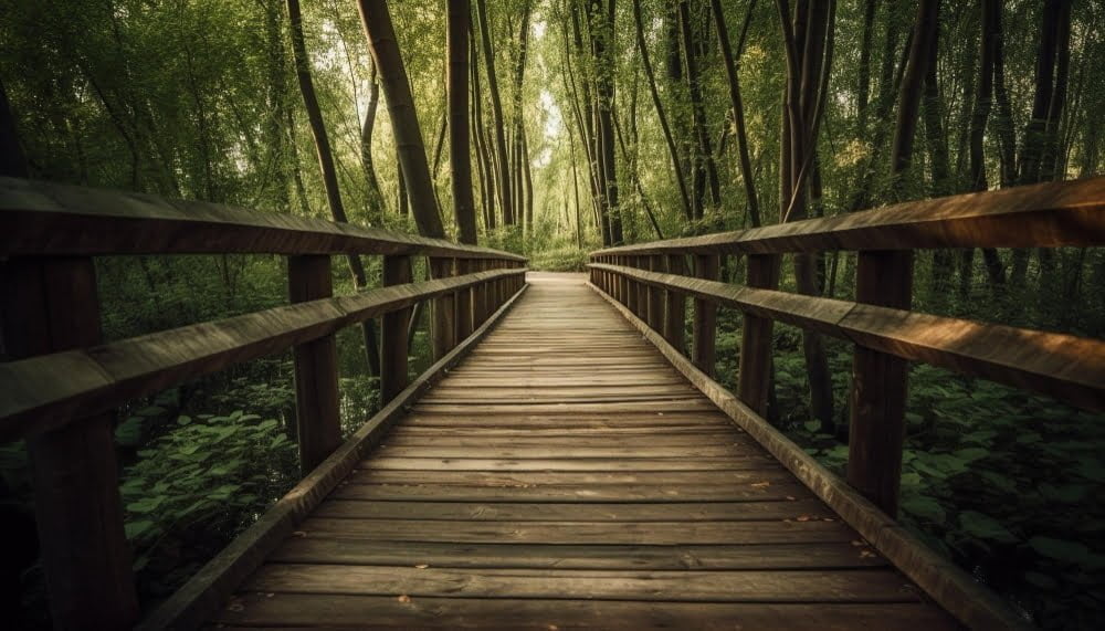 tranquil-footbridge