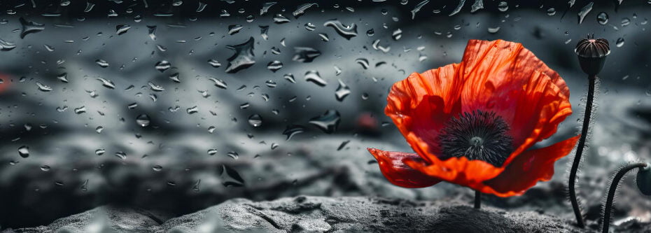 banner-with-red-poppy-as-symbol-memory-fallen-war-veday-world-war-remembrance-day-generative-ai-illustration