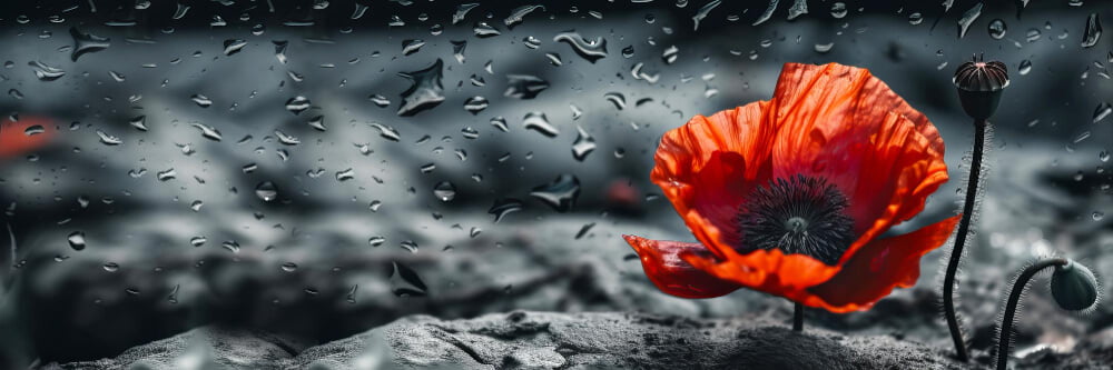 banner-with-red-poppy-as-symbol-memory-fallen-war-veday-world-war-remembrance-day-generative-ai-illustration