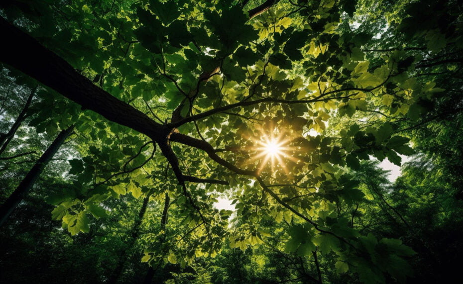 green-leaves-glow-sunlight-nature-beauty-generated by-a