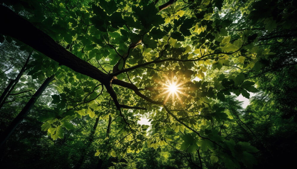 green-leaves-glow-sunlight-nature-beauty-generated by-a