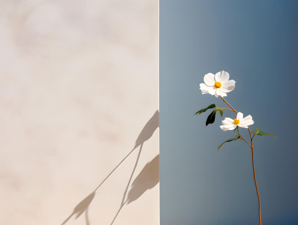 flat-wall-background-with-flowers