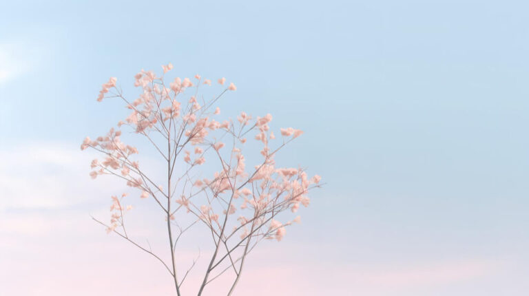 photograph-sky-with-sun-clouds