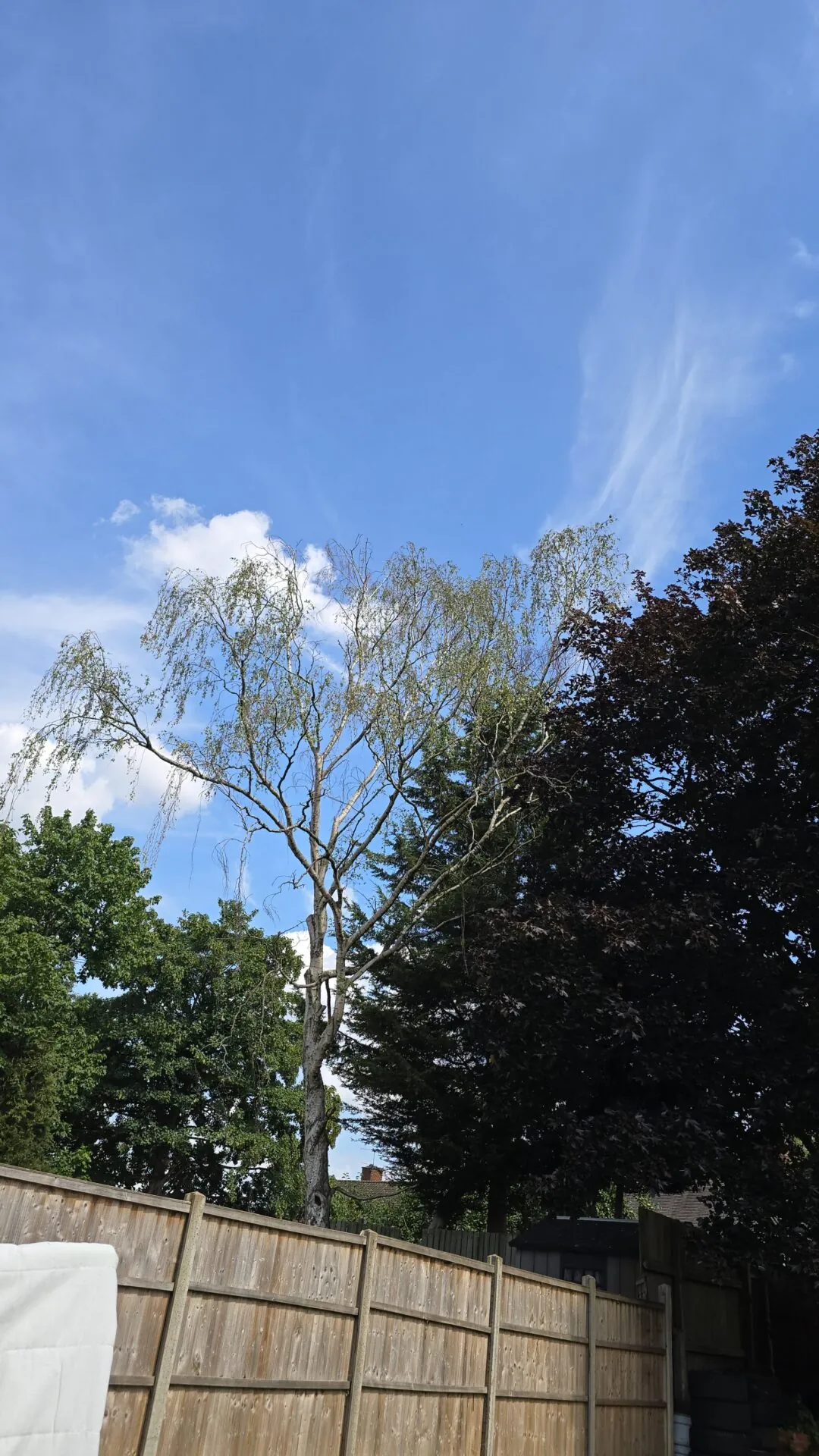 Img 20260716 wa0016